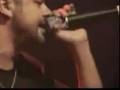 Nach Scratch - Amor libre