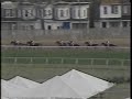 Cigar - 1995 Pimlico Special