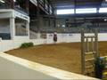 Woody Friday Night Jumper Class VHT