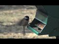 See Video