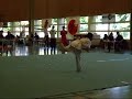 Brian Bochsler Wushu 46er Form