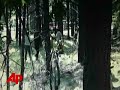 raw-video-aftermath-of-helicopter-crash.html