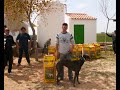 La Gineta (Albacete)6-abr(500, 800 ,nacionales y veteranos)