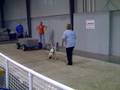 videos de weightpulling