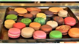 B News MetroTV - Manon Macaron