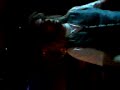 dutronc my dream