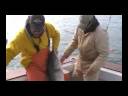 Fishing with Billable