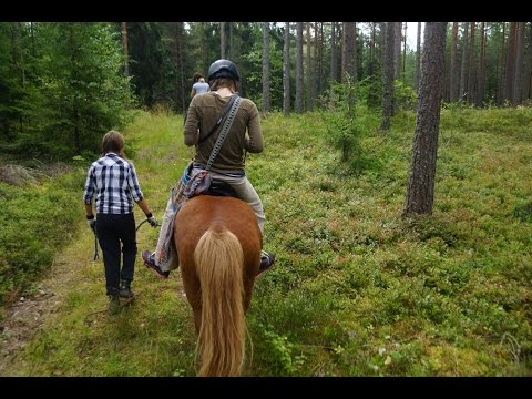 Horseback riding and boating adventures #OutdoorsFinland