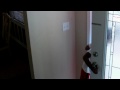 grounded