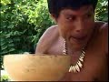 ashaninka v
