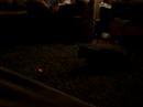 Spinnin Smokey