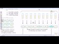 Luria delbruck experiment.mp4