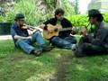 Trisquel - Leitrim Fancy on the mountain