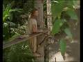 Stranded: 2.23 Salvation?