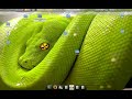 ubuntu 8 04 1 lts hardy heron compiz effects