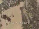 The Day the Beach Came to Pelion The Day the Beach Came to Pelion