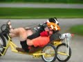Winston dog rideing a trike.