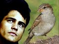 Gilson Campos - Minha Oferta