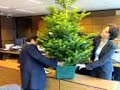 Vallende kerstboom op kantoor Vallende kerstboom op kantoor