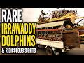 Cambodia:  From Irrawady Dolphins to The Ridiculous