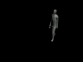 Biped
