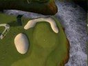 Straight in the cup tiger woods 09 PS3