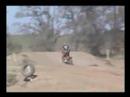 New MX video
