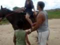 a cavaleira vicuna
