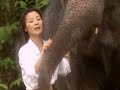 WildAid Michelle Yeoh