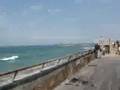 Tel Aviv Beach on Rollers
