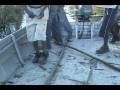 videos de fishing
