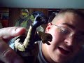 Halo 3 Action Figures Review: The Arbiter
