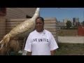 2010 CCD: Pauletta Wilson View Video