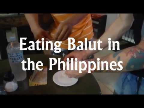 how to fertilized duck eggs