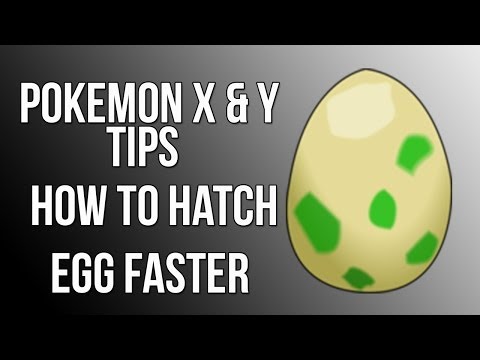 how to hatch eggs in pokemon x