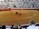 Indulto Finito de Cordoba Toiros Varela Corujo (parte 6 )