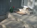 SQUIRREL HUNT