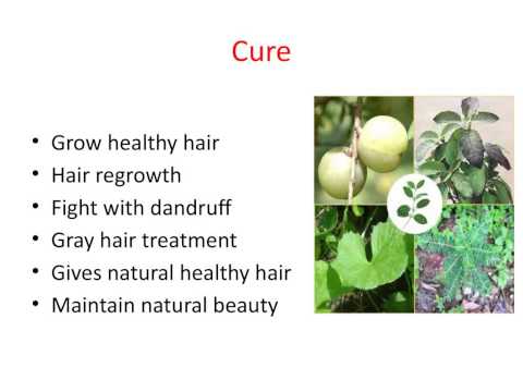 how to make ayurvedic hair dye