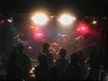 彼岸花 at Fireloop 11.16