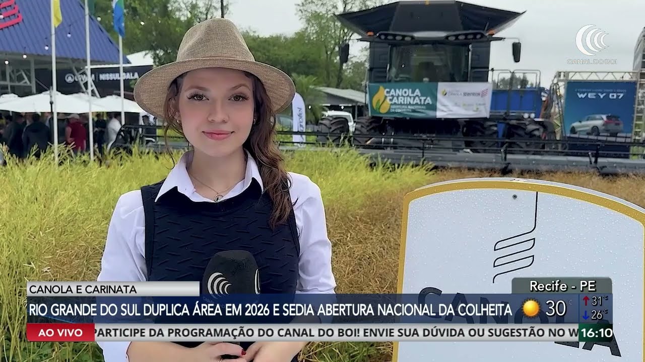 Rio Grande do Sul duplica área em 2026 e sedia abertura nacional da colheita da canola e carinata
