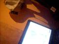 videos de sergi