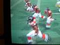 D-Hall Hit Stick on Hines Ward