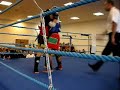 Dolnośląska Liga Muay Thai - Kolejka 1