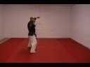 CASA DE KENPO - AMERICAN KENPO - SHORT FORM 2
