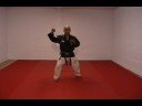 CASA DE KENPO - AMERICAN KENPO - SHORT FORM 2