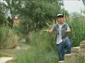 Tripy-Un Dia Cualquiera