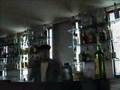 Tripy-Un Dia Cualquiera
