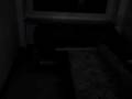 videos de WG ASSI
