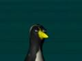 Pinguin ... keine Ahnung ... Fresse halten