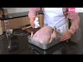 Turkey Turkey